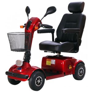 Single Scooter Buggie